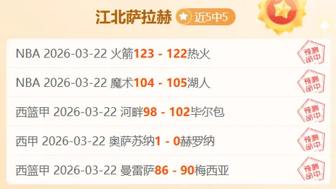 多特蒙德强势对决云达不莱梅：17胜11负前瞻，德甲焦点战解析来袭！